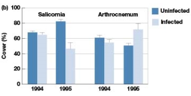 In Figure 7.4b,under which condition does Cuscuta salina significantly affect competitive interactions?   A)  In 1994 when Salicornia is infected with C. salina B)  In 1995 when Arthrocnemum is infected with C. salina. C)  In 1995 when Salicornia is infected with C. salina D)  In 1995 when Arthrocnemum is infected with C. salina