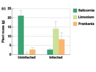 In Figure 7.4c,which plants mass was greatest prior to being infected with Cuscuta salina?   A) Salicornia B) Limonium C) Frankenia D) Dodder