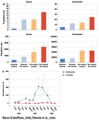 Explain why in Figure 7.11,vole abundances in experimental enclosures would drop to the same abundance as the control.   A)  This is likely due to voles being preyed upon in the exclosures by predators. B)  Competition for food resources likely led to the vole population decline. C)  There is no change in vole populations through time. D)  The vole population in the exclosures likely included cannibals that reduced the population to that of controls.