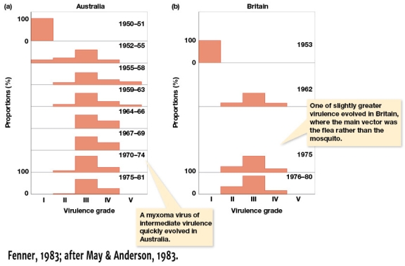Using Figure 8.9a,how long did it take for an intermediate level of virulence to arise?   A)  Approximately 30 years B)  Between 1 to 4 years C)  It never evolved D)  Less than 1 year