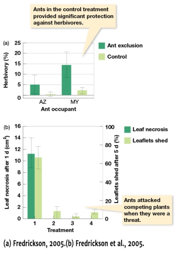 In Figure 8.13a,the percentage of herbivory between Azteca spp.and Myrmelachista schumanni in ant exclusions _______.   A) Was not significantly different between treatments and controls. B) Increased significantly in the control. C) Was nearly three times greater for M. schumanni. D) Decreased more than controls.