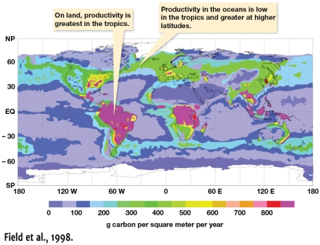 According to Figure 11.1,where is the annual average rate of net primary productivity greater?   A)  Between 30 degrees north and the equator B)  Between 30 degrees south and the equator C)  Between 30 degrees north and 60 degrees north D)  Between 30 degrees south and 60 degrees south