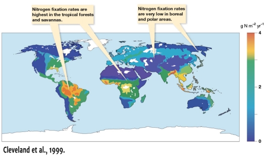 According to Figure 11.10,which part of North America has a greater rate of nitrogen fixation?   A) The Gulf of Mexico B) The Pacific Northwest C) New England D) The Great Lakes