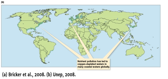 According to Figure 11.15b,which of the following statements is correct?   A)  There are coastal marine ecosystems and estuaries along the North America Atlantic coastline and throughout the Gulf of Mexico where oxygen levels are too low to fully support animal life B)  Throughout Europe there are estuaries or coastal marine ecosystems that have been polluted by nutrients C)  There are no coastal marine ecosystems or estuaries along the Atlantic coastline of South America where oxygen levels are too low to fully support animal life D)  With the exception of Antarctica, every single continent has polluted estuaries or coastal marine ecosystems with nutrient pollution