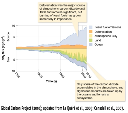 <strong>In Figure 12.5,prior to 1850,the global flux of carbon dioxide to the atmosphere due to fossil fuel emissions was close to zero.However,in the late 19th century,an increase can be observed.From 1900 to 2010,what has occurred with the global flux of carbon dioxide due to fossil fuel emissions? </strong> A) It has increased from approximately 2 Pg of carbon per year to nearly 5 Pg of carbon per year B) It has decreased from approximately 2 Pg of carbon per year to nearly -10 Pg of carbon per year C) It has risen 10 fold D) It has increased from approximately 2 Pg of carbon per year to nearly 10 Pg of carbon per year