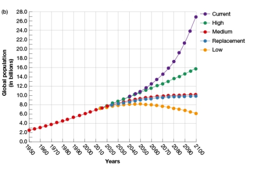 According to Figure 14.5b,what is the range of values the global population is estimated to be in 2100 using current and medium fertility rates?   A)  Approximately 6 to 27 billion B)  Approximately 16 to 27 billion C)  Approximately 10 to 27 billion D)  Approximately 6 to 27 billion.