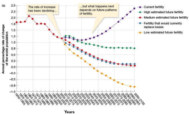 Using Figure 14.5a,under what fertility scenario would there be the largest predicted percentage rate of increase in the world population?   A)  Current fertility B)  High estimated future fertility C)  Medium estimated future fertility D)  Low estimated future fertility