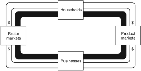The following question are based on the following circular flow diagram:    -In a simple circular flow model of an economy A)  households buy factors of production from businesses. B)  the flow of income to households from businesses is greater than the flow of expenditures by households for goods produced by businesses. C)  businesses buy final goods and services produced by households. D)  the total amount of labor hours worked equals the total number of goods produced. E)  households are owners of resources and purchasers of final goods and services.