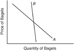 This diagram shows hypothetical demand curves for individuals A and B.   The differences in their slopes suggest that consumer A and consumer B A)  have very different income levels. B)  have different tastes. C)  are not subject to the law of diminishing marginal utility. D)  are charged different prices for the same commodity. E)  are offered different amounts to purchase.
