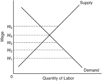 The following question are based on the following graph depicting a perfectly competitive labor market:    -This is an equilibrium because A)  no worker wishes to work for a lower wage. B)  a higher wage would produce an excess supply; a lower wage would produce an excess demand. C)  at a wage above this, employers are not willing to hire any workers. D)  this wage is consistent with union ambitions. E)  higher or lower wages generate shifts in the supply and demand curve to restore that wage.