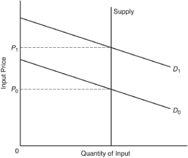 The following question are based on the following diagram, representing the supply and demand curves for an input:    -If the demand curve is D₀,a tax on the income received by the supplier of this input A)  increases the demand to D₁. B)  reduces the quantity sold of the input. C)  raises the quantity sold of the input. D)  raises the equilibrium price of the input. E)  has no effect on the equilibrium price and quantity of the input.