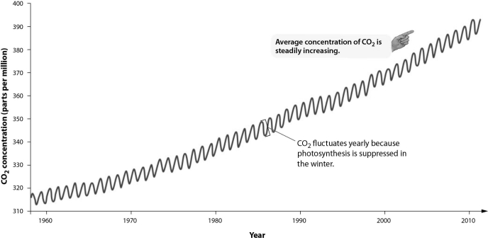   -According to the graph, by how many parts per million has the concentration of atmospheric carbon dioxide changed between 1980 and 2010? A)  about 20 ppm B)  about 50 ppm C)  about 80 ppm D)  about 110 ppm