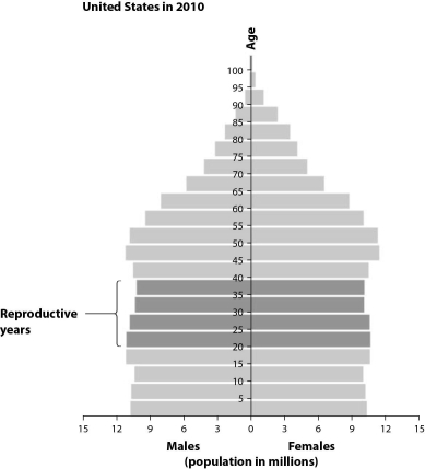   -Based on the population pyramid of the United States in 2010, as seen in this figure, you can predict that the population will A)  be in a demographic transition. B)  experience a decrease. C)  experience a decrease after a period of high demographic momentum. D)  remain relatively stable due to low demographic momentum.