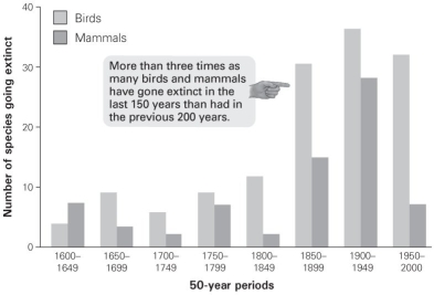   -According to this graph, when did the extinction rate in mammals exceed that of birds, if at all? A)  1600-1649 B)  1700-1749 C)  1800-1849 D)  1900-1949
