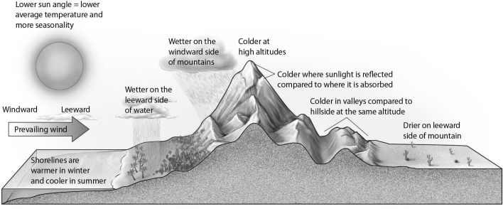   -As depicted in this illustration, where does the most rainfall generally occur? A)  on the windward side of a body of water B)  on the leeward side of a body of water C)  on the leeward side of a mountain D)  at high altitudes on a mountain