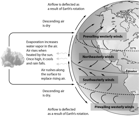   -In which general direction do the prevailing winds blow between 30° North and the equator? A)  from south to north B)  from east to west C)  from north to south D)  from southwest to northeast