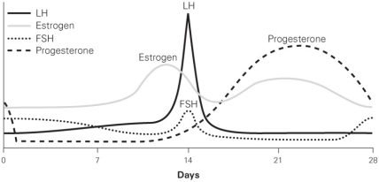 <strong> In the graph depicting the levels of various hormones, what event would prevent the decline in estrogen and progesterone seen toward the end of the 28-day menstrual cycle?</strong> A) a subsequent ovulation event B) the maturation of another follicle C) fertilization D) degeneration of the corpus luteum