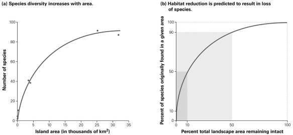   -According to this species-area curve for reptiles and amphibians on a West Indian archipelago, how will the number of species living in the area change if the original area was decreased by 50%? A)  +50% B)  −50% C)  −90% D)  −10%