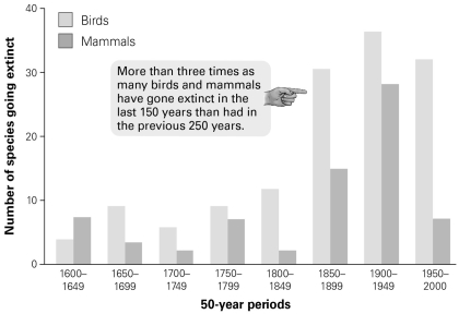   -According to this graph, when did the extinction rate in mammals exceed that of birds, if at all? A)  1600-1649 B)  1700-1749 C)  1800-1849 D)  1900-1949