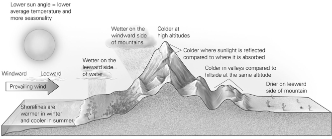   -As depicted in this illustration, where does the most rainfall generally occur? A) on the windward side of a body of water B) on the leeward side of a body of water C) on the leeward side of a mountain D) at high altitudes on a mountain