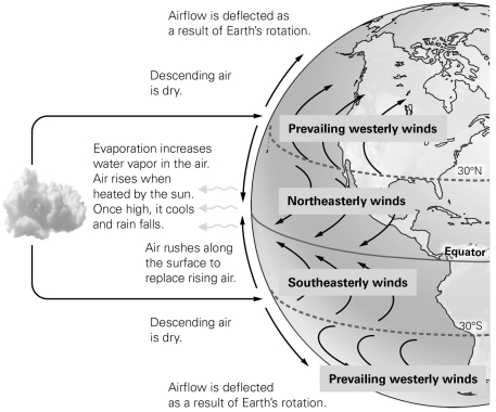   -In which general direction do the prevailing winds blow between 30° North and the equator? A) from south to north B) from east to west C) from north to south D) from southwest to northeast