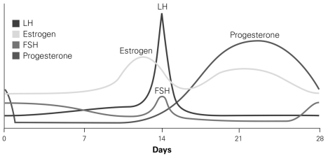   -In the graph depicting the levels of various hormones, what event would prevent the decline in estrogen and progesterone seen toward the end of the 28-day menstrual cycle? A)  a subsequent ovulation event B)  the maturation of another follicle C)  fertilization D)  degeneration of the corpus luteum