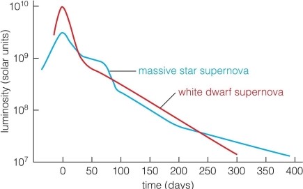   This figure shows how the luminosity of supernovae change over time. How long does it take a white dwarf supernova to decrease in luminosity by a factor of 100 from its peak? A) about 200 days B) about 100 days C) about 300 days D) about 25 days