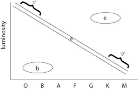 The sketch below shows groups of stars on the H-R diagram labeled (a) through (e) .Note that (a) represents the entire main sequence while (c) and (d) represent only small parts of the main sequence.    -Which group represents stars that are cool and dim? A) A B) B C) C D) D E) E 