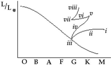 The following questions refer to the H-R diagram below that shows the life track of a 1-solar-mass star,with various stages labeled with Roman numerals.    -During which stage does the star have an inert (nonburning) carbon core? A) ii B) iii C) iv D) vi E) viii 