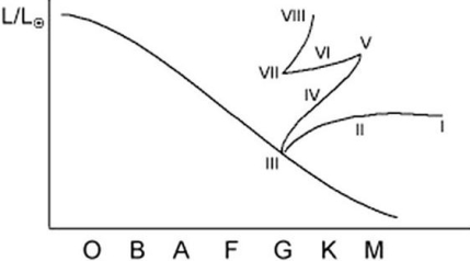 This diagram represents the life track of a 1-solar-mass star.Refer to the life stages labeled with Roman numerals.    -Which stage lasts the longest? A) I B) VI C) III D) VIII 