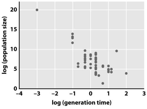 The substitution rate is expressed in terms of substitutions per generation; however,molecular clock estimates show that substitutions accumulate annually regardless of the generation time.What explanation for this discrepancy is illustrated in the figure below?   