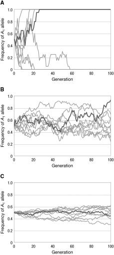 The graphs show the results of simulations of changes in the frequency of a neutral allele. Each graph shows 10 different runs of the simulation. What is the most likely difference between these simulations? Explain your reasoning.