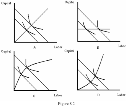   -Refer to Figure 8.2.Which graph illustrates an output expansion path with an increasing capital-labour ratio? A)  A B)  B C)  C D)  D