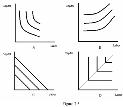   -Refer to Figure 7.5.Which diagram represents isoquants for inputs that are perfect substitutes? A)  A B)  B C)  C D)  D