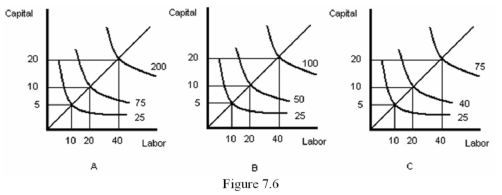   -Refer to Figure 7.6.Which graph represents decreasing returns to scale? A)  A B)  B C)  C D)  Both graph A and graph C