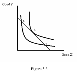   -Refer to Figure 5.3.Which of the following statements is false? A)  Points a, b and c all represent best choices for the consumer B)  Point a violates the No Overlap Rule C)  Point b satisfies the tangency requirement D)  Point c violates the No Overlap Rule