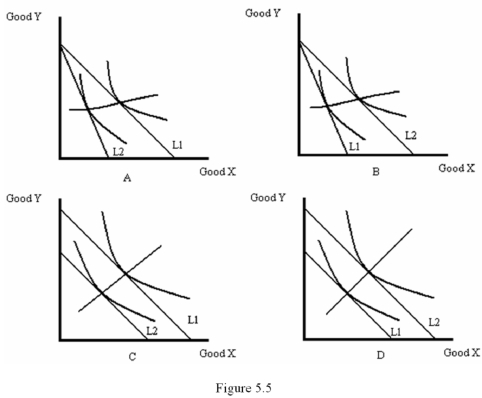   -When the price elasticity of demand is small in magnitude,a _____ increase in the price leads to a _____ reduction in the amount purchased and the demand curve is relatively ______. A)  Slight; substantial; steep B)  Slight; slight; flat C)  Large; slight; steep D)  Slight; substantial; flat