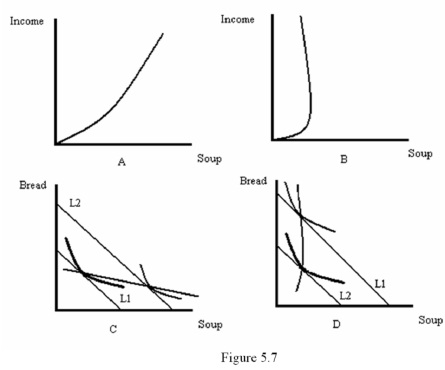   -Refer to Figure 5.7.Which diagram best represents an Engle curve where soup is a normal good? A)  A B)  B C)  C D)  D