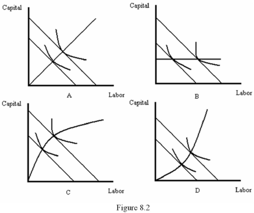 Refer to Figure 8.2.Which graph illustrates an output expansion path with a constant capital-labor ratio?   A)  A B)  B C)  C D)  D
