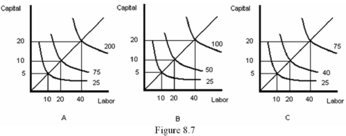 Refer to Figure 8.7.Which of the following statements is true?   A)  The technology represented in graph A will cause the firm to experience diseconomies of scale. B)  The technology represented in graph B will cause the firm to experience diseconomies of scale. C)  The technology represented in graph B will cause the firm to experience economies of scale. D)  The technology represented in graph C will cause the firm to experience diseconomies of scale.