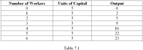 Refer to Table 7.1.Diminishing returns set in with the ______ worker.   A)  third B)  fifth C)  fourth D)  sixth
