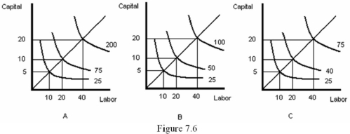 Refer to Figure 7.6.Graph A represents:   A)  increasing returns to scale. B)  decreasing returns to scale. C)  constant returns to scale. D)  diminishing marginal returns.