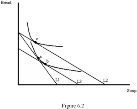 Figure 6.2 illustrates a change in the price of soup.From the graph,we can conclude that:   A)  the price of soup has increased and soup is a Giffen good. B)  the price of soup has fallen and soup is a Giffen good. C)  the price of soup has fallen and soup is a normal good. D)  the price of soup has fallen and bread is a Giffen good.