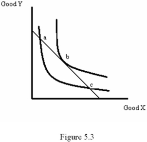 Refer to Figure 5.3.Which of the following statements is false?   A)  Points a, b and c all represent best choices for the consumer. B)  It is possible for the consumer to afford better bundles than a. C)  Point b satisfies the tangency condition. D)  It is possible for the consumer to afford better bundles than c.