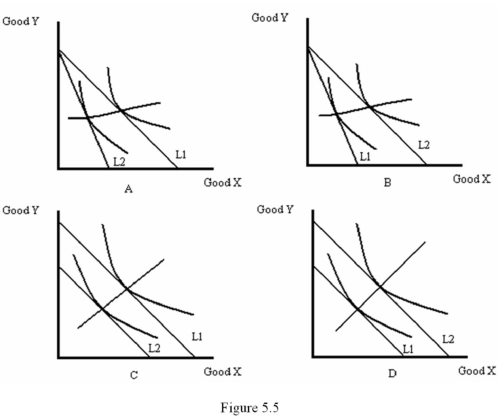 <strong>Refer to Figure 5.5.Which diagram shows the price-consumption curve resulting from a decrease in the price of good X? </strong> A) A B) B C) C D) D