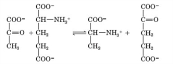 <strong>Consider the following reaction sequence. Examine the following reactants. Which of the following characterizes this reaction?</strong> A) Alanine is a product. B) The reaction is classified as a deamination. C) It produces an essential amino acid. D) All of the above are correct.