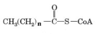 The following fatty acid undergoes two loops of the β-oxidation spiral.   What is the value of n in the formula of the product shown below at this point?   A)  13 B)  12 C)  10 D)  8 E)  6