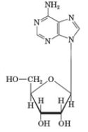 Examine the structural formula given below.   -Which of the following correctly classifies this substance? A)  nucleic acid B)  nucleoside C)  nucleotide D)  purine base E)  pyrimidine base