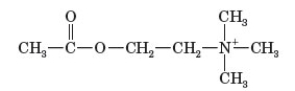Consider the following diagram of a neuron.   -Which of the following correctly classifies the following chemical messenger?   A)  cholinergic B)  amino acid C)  androgenic D)  peptidergic E)  steroid