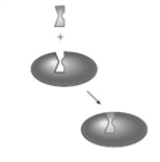 Consider the following two images depicting enzyme behavior.     A B Which model provides a better explanation of noncompetitive inhibition? A)  A only B)  B only C)  Both A and B provide equally good explanations.
